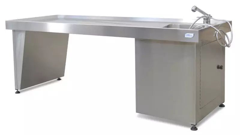 CAE 5
