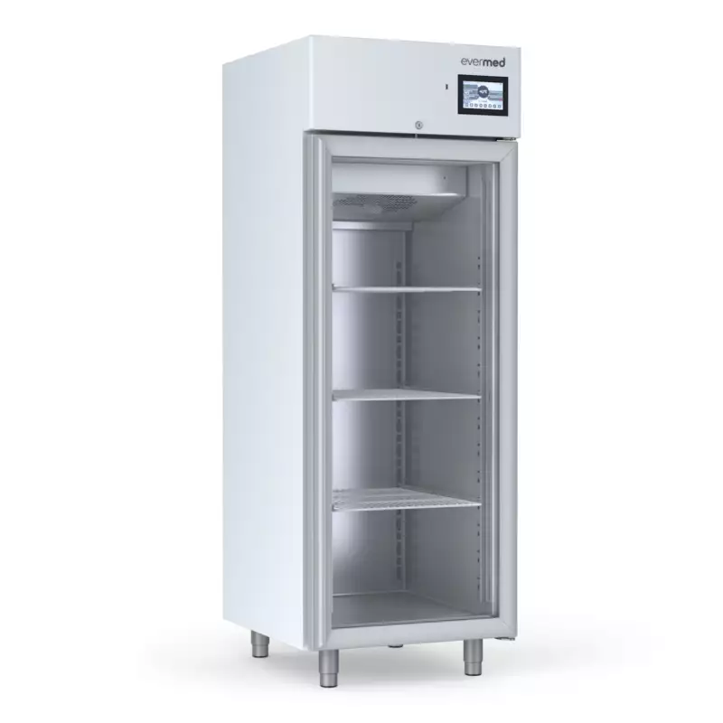 LFG 625 - Congelatore professionale con porta in vetro